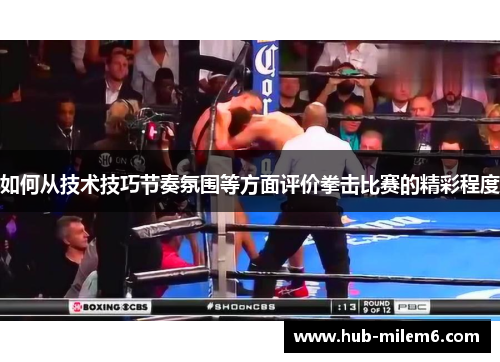 如何从技术技巧节奏氛围等方面评价拳击比赛的精彩程度