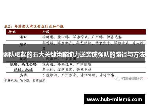 弱队崛起的五大关键策略助力逆袭成强队的路径与方法