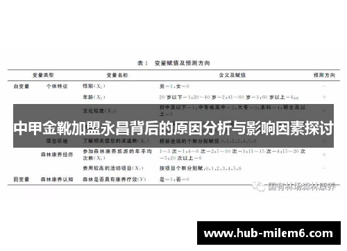 中甲金靴加盟永昌背后的原因分析与影响因素探讨