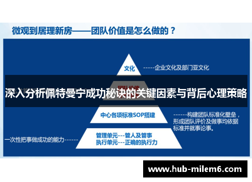 深入分析佩特曼宁成功秘诀的关键因素与背后心理策略