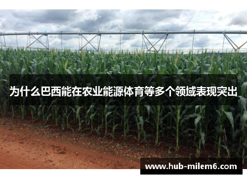为什么巴西能在农业能源体育等多个领域表现突出